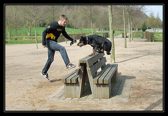 sortie fufus chiens DSCF7254